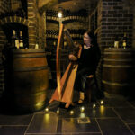 Emma Benson playing O'Carolan's Favourite Jig in Kilronan Castle
